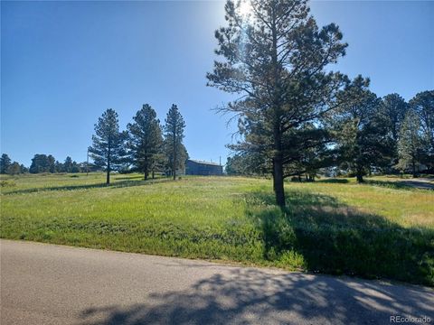 Unimproved Land in Parker CO Winchester Way.jpg