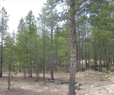 218 Cedar Drive Leadville CO 80461