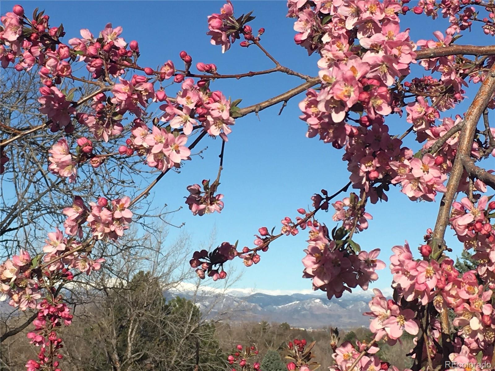 6805 S Harrison Street