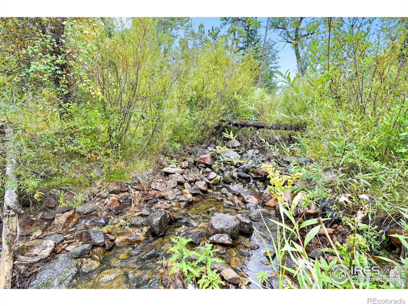 6055 Fourmile Canyon Drive