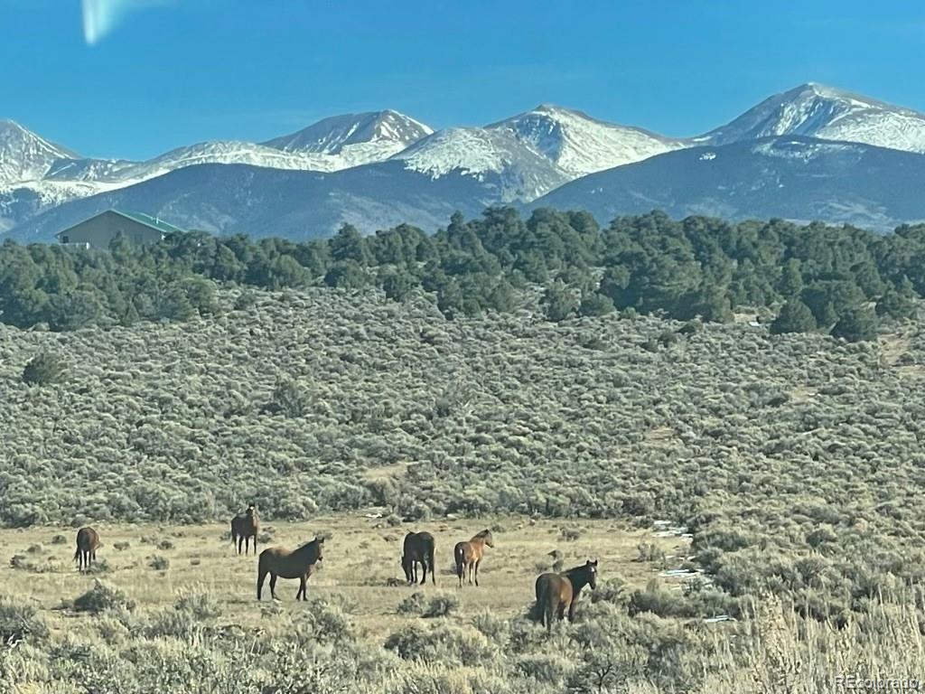 2032 White Tail Road, San Luis, CO, 81152 3 2032 White Tail Road