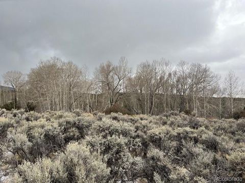 Lot 2242 Slegers Road Fort Garland CO 81133
