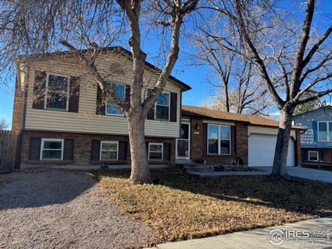 Photo of 5241 E 111th Court, Thornton, CO 80233 (MLS # IR1048256)