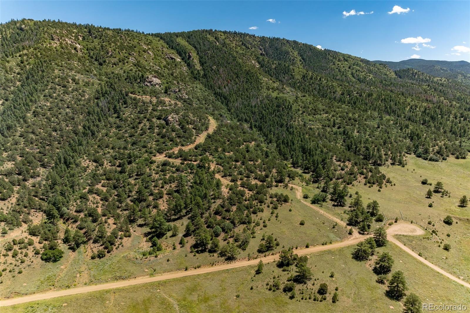 1403 Oak Creek Drive