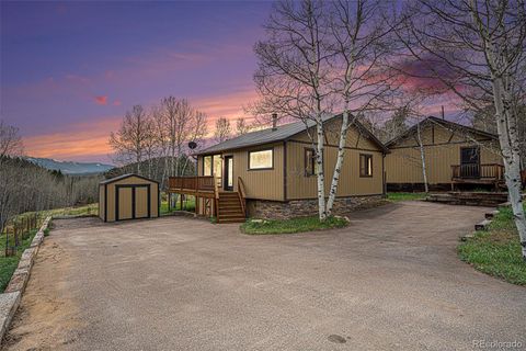 70 Silver Springs Road Bailey CO 80421