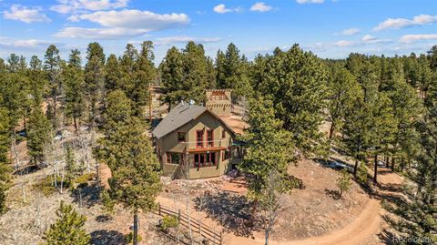 174 Needle Creek Road Divide CO 80814