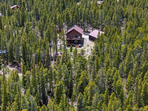 115 Trails End Fairplay CO 80440