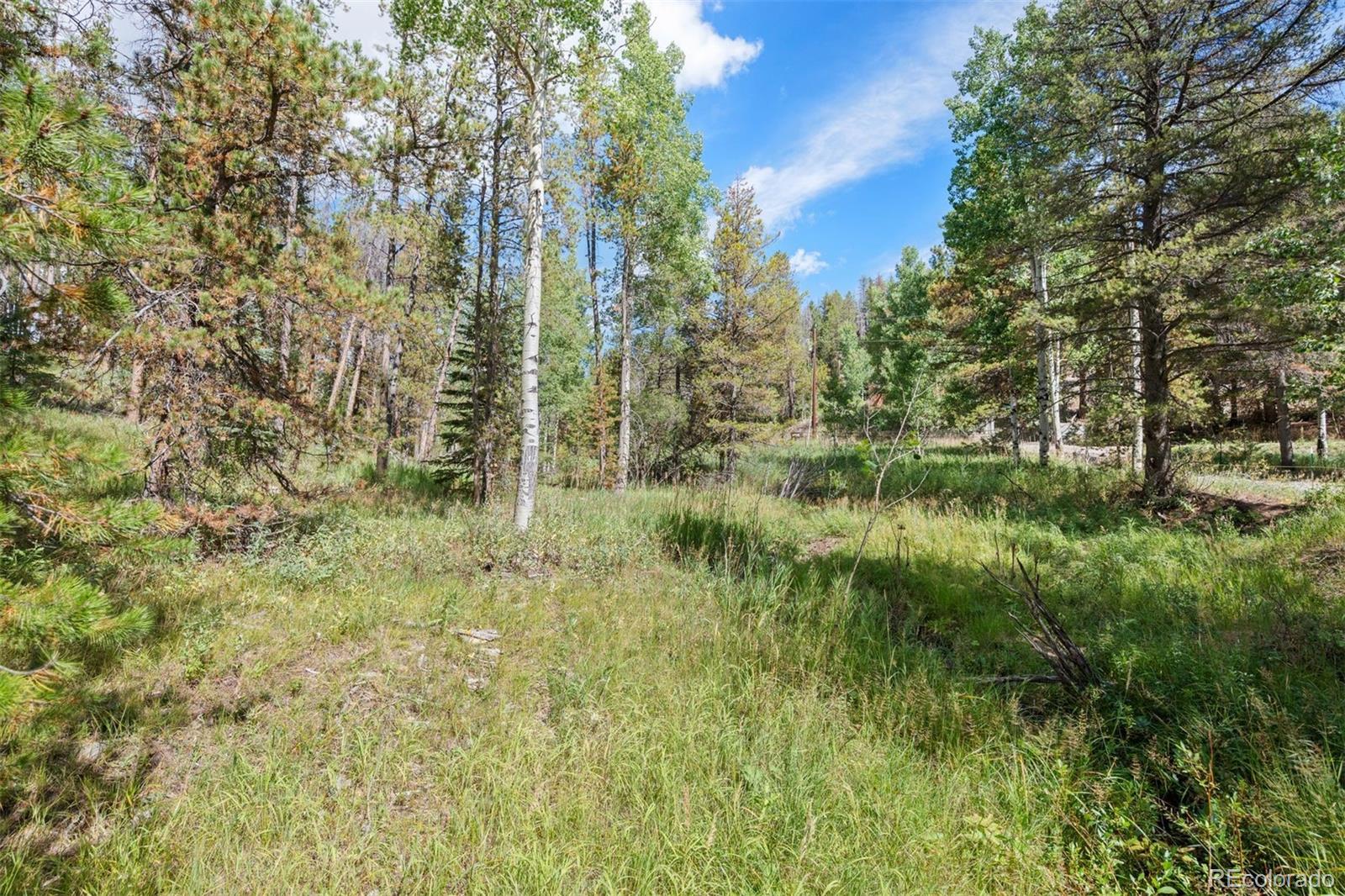 001 Lot 12 Indian Springs Rd