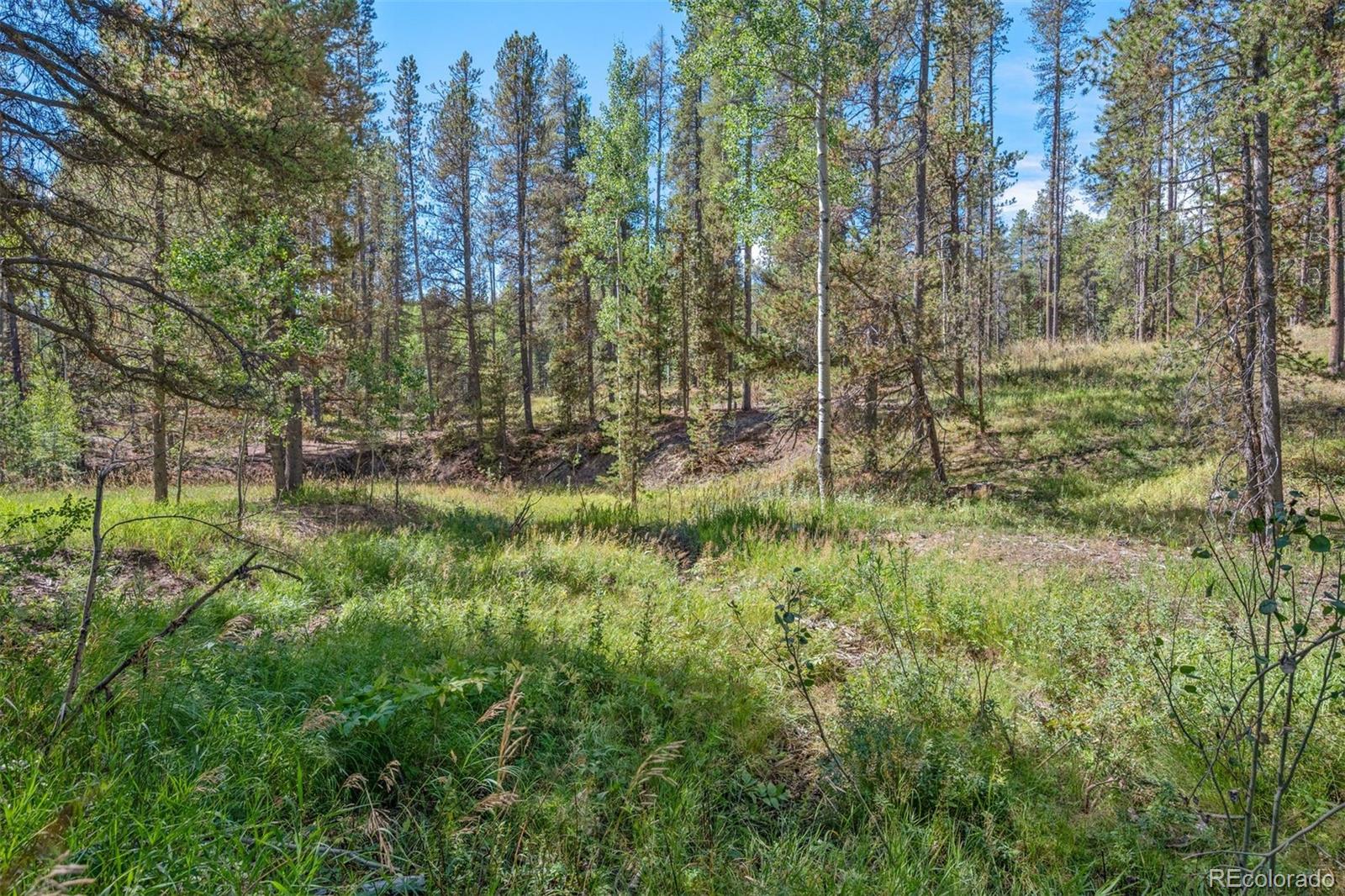 001 Lot 12 Indian Springs Rd