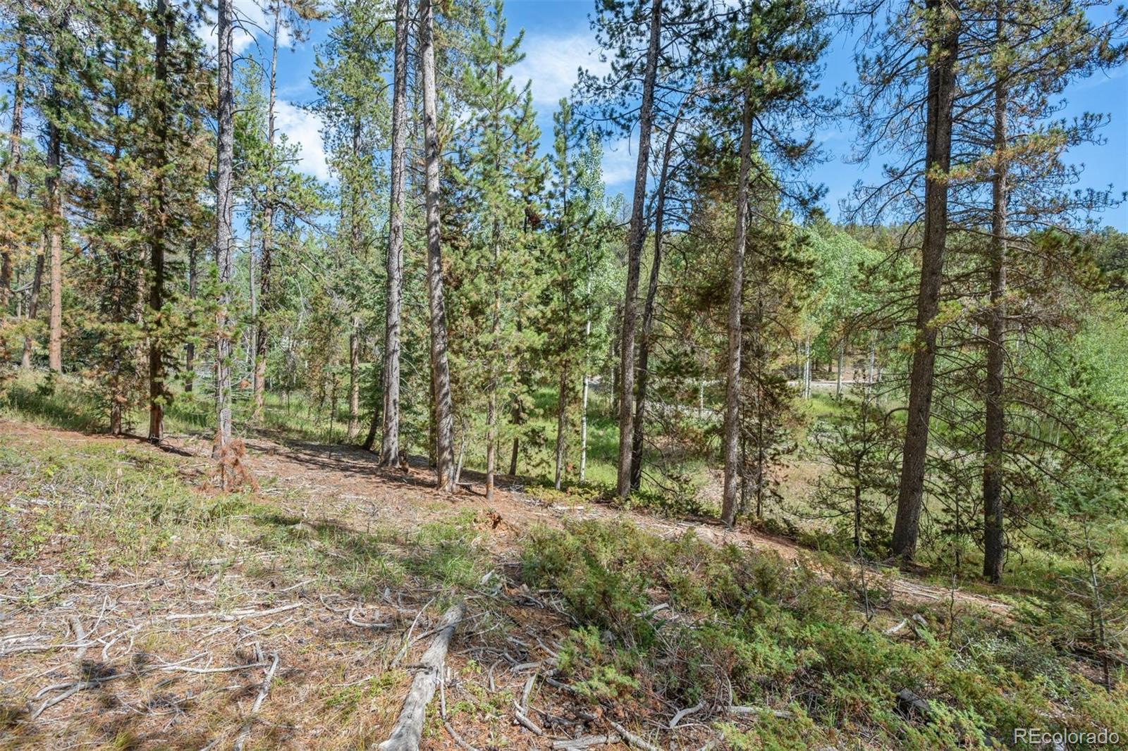 001 Lot 12 Indian Springs Rd