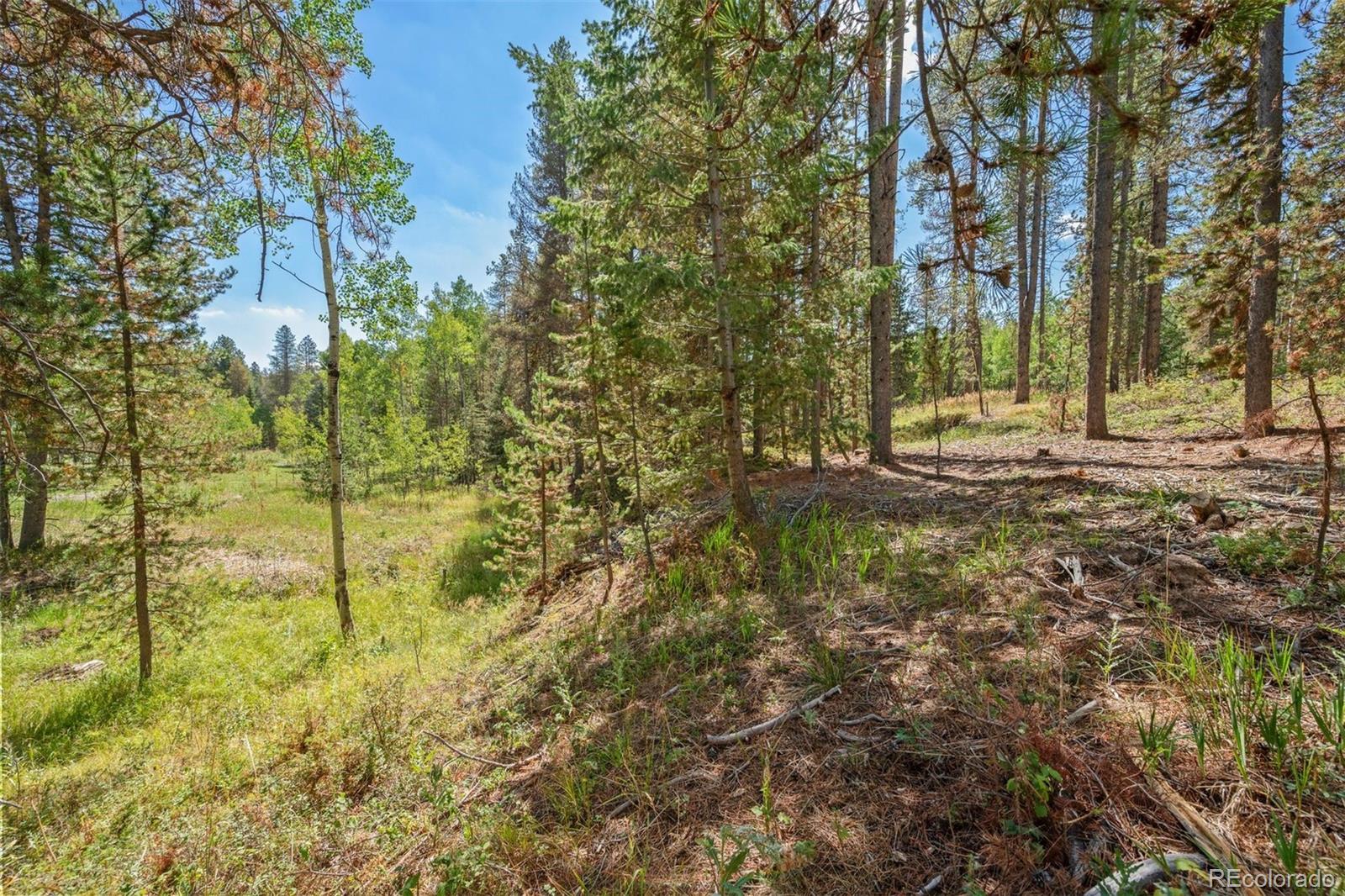 001 Lot 12 Indian Springs Rd