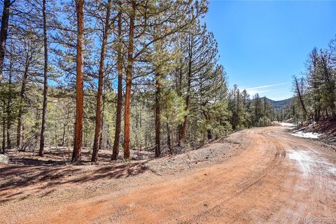 16588 Ouray Road, Pine, CO 80470 - #: 9690986