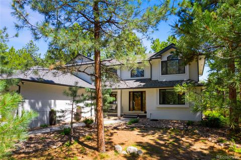 Larkspur 55 1935 Poncha Court Larkspur CO 80118