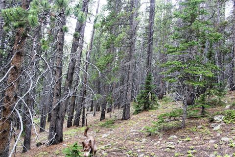 Group 2-2 Lamartine Road Idaho Springs CO 80452