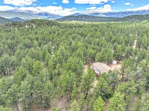 56 Bounty Hunter Lane Bailey CO 80421