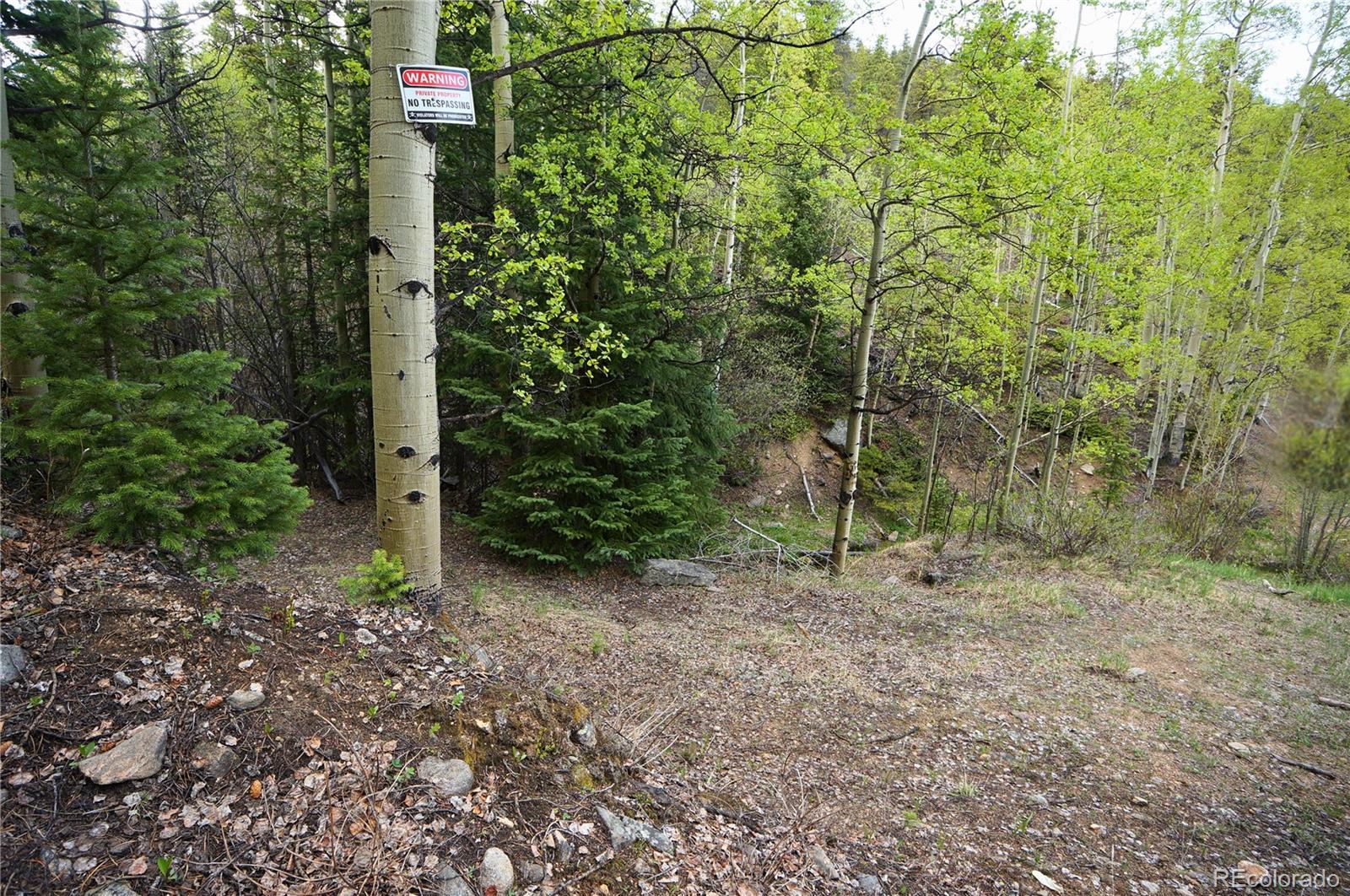 000 Trail Creek Road
