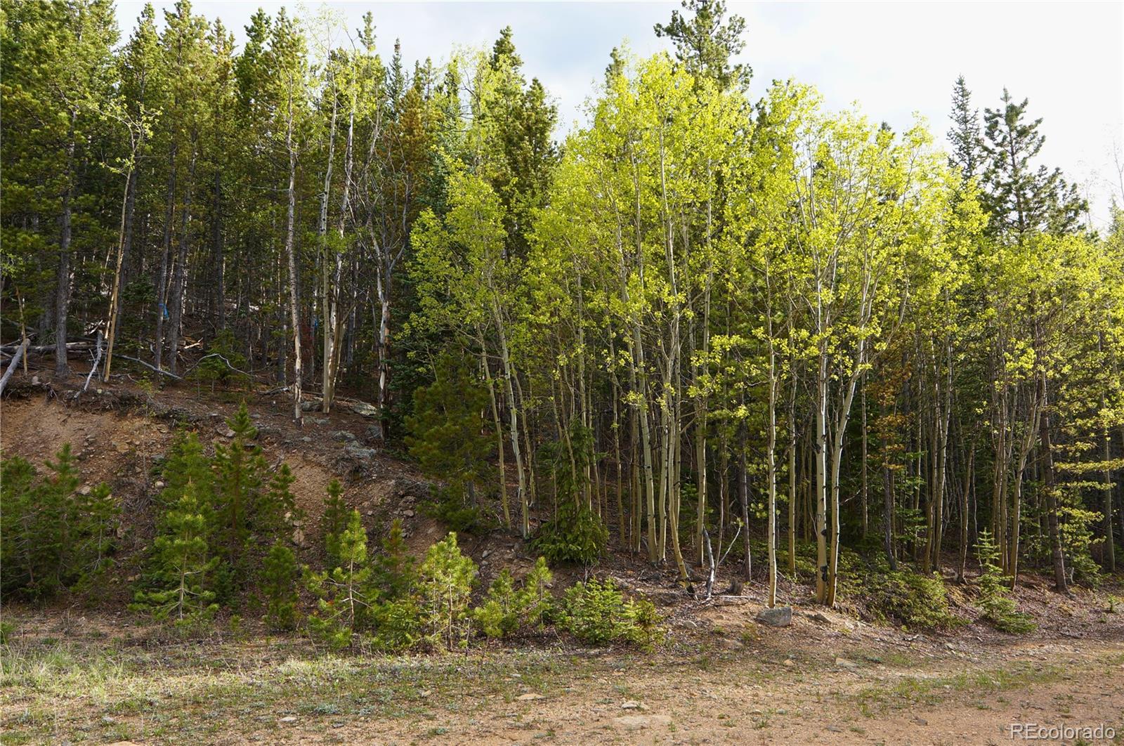 000 Trail Creek Road