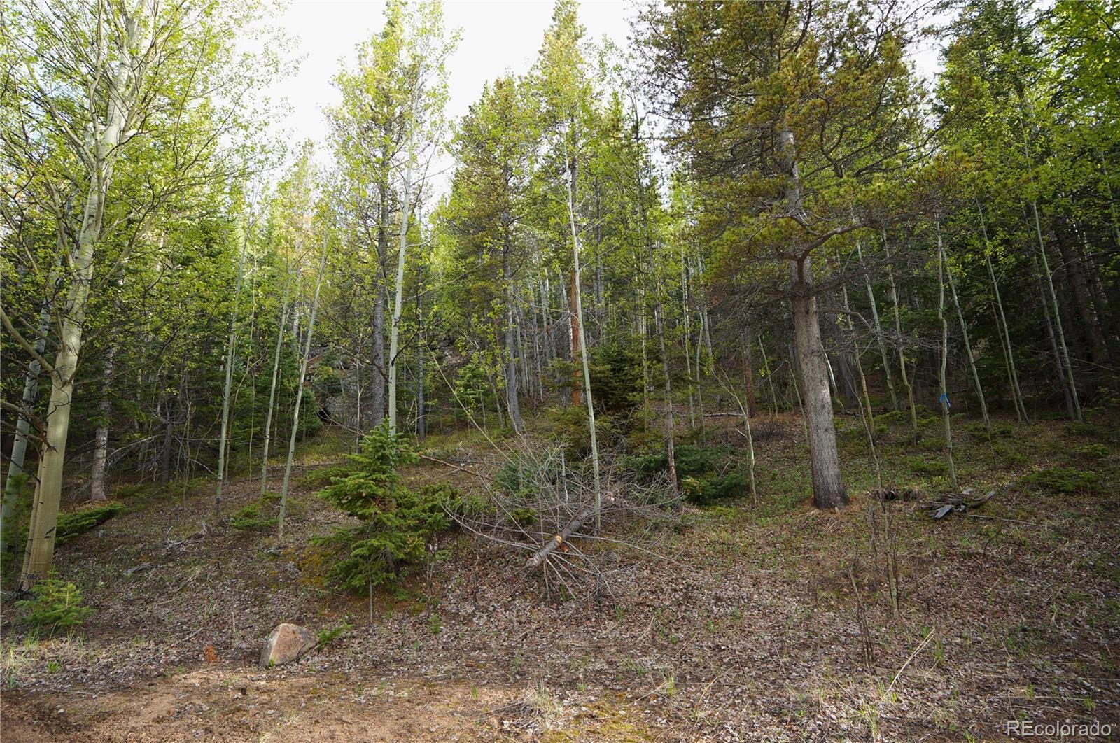000 Trail Creek Road