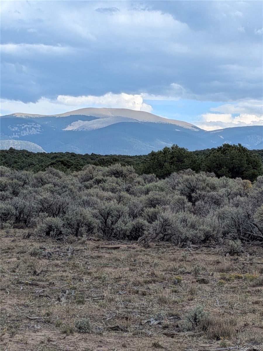 Lot 42 Big Buck Trail