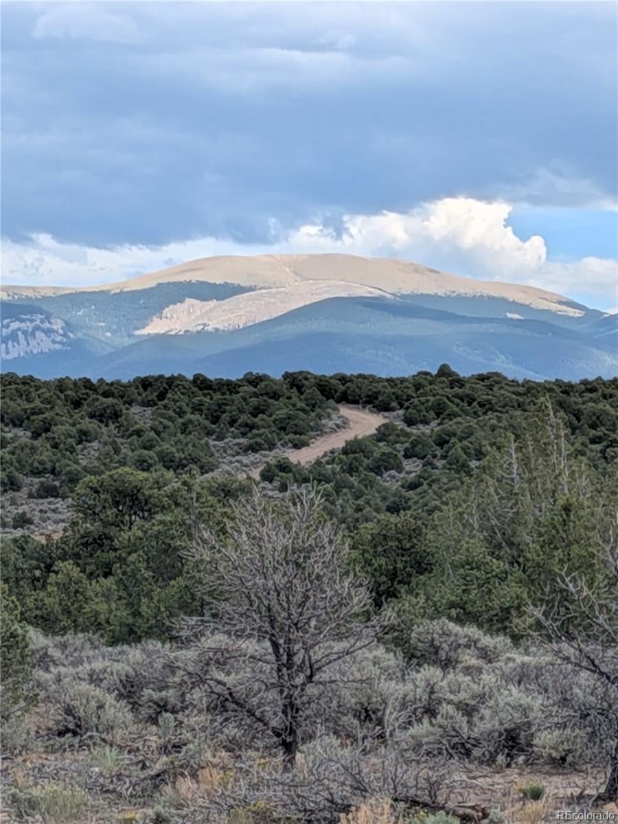 Lot 42 Big Buck Trail