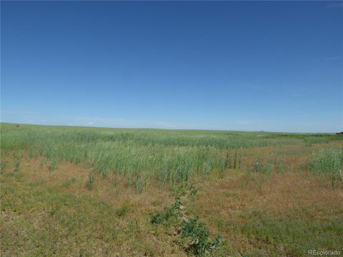 4242 CR 185 Byers CO 80103