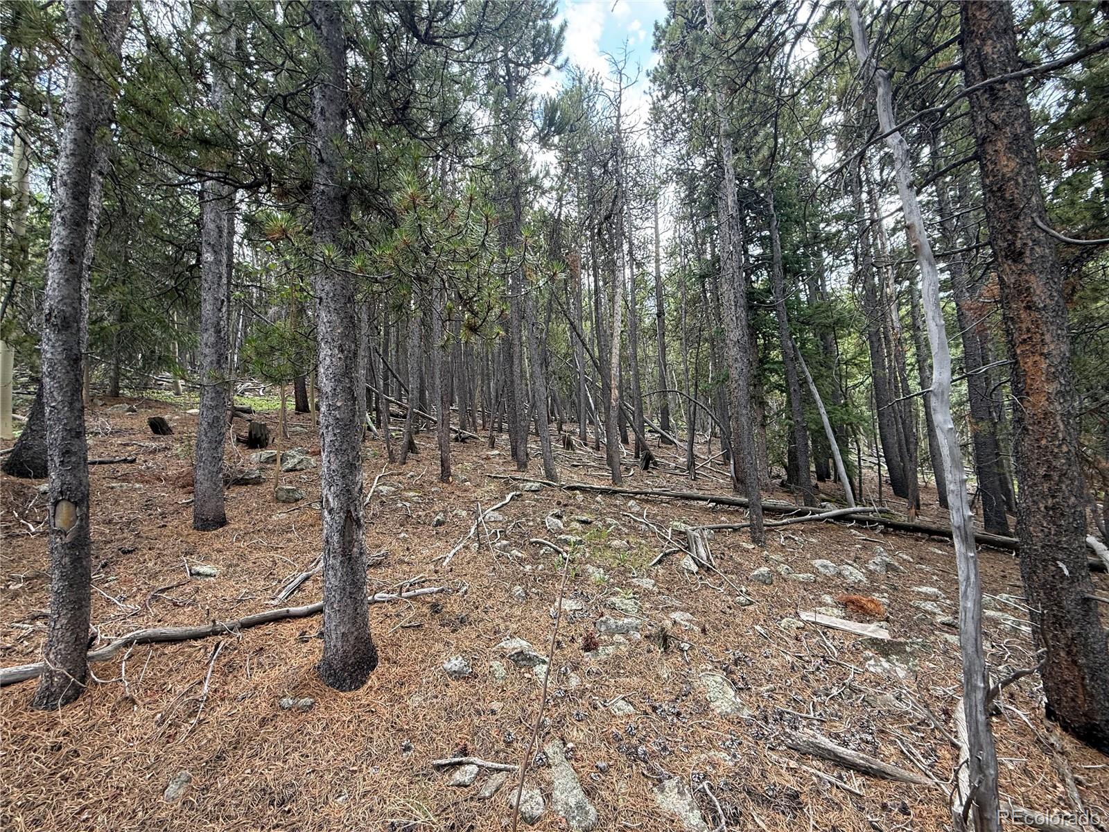 3747 S Spring Gulch Road
