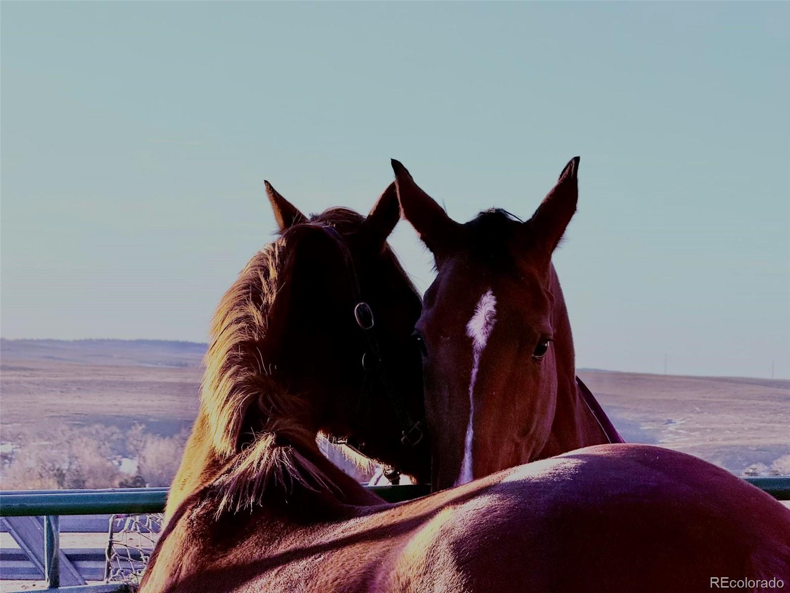 37670 County Road 69, Briggsdale, CO, 80611 2 37670 County Road 69