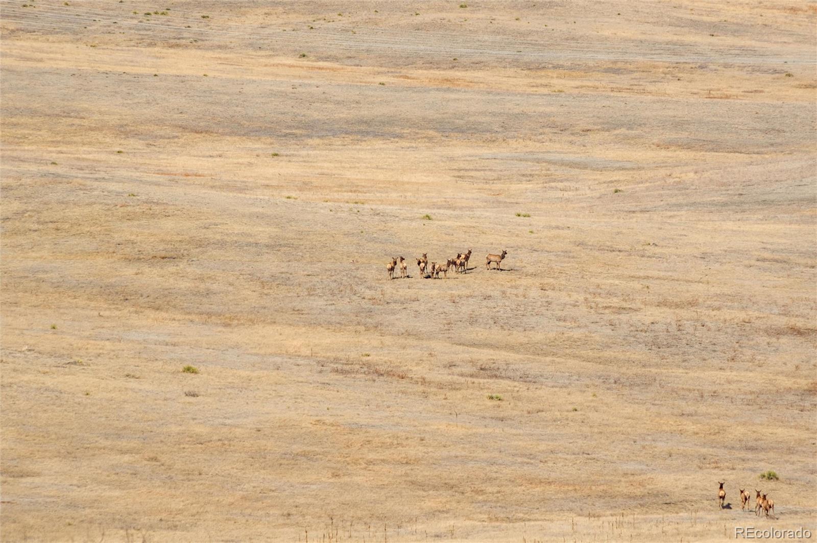 0 Highway 83, Castle Rock, CO, 80104 0 Highway 83