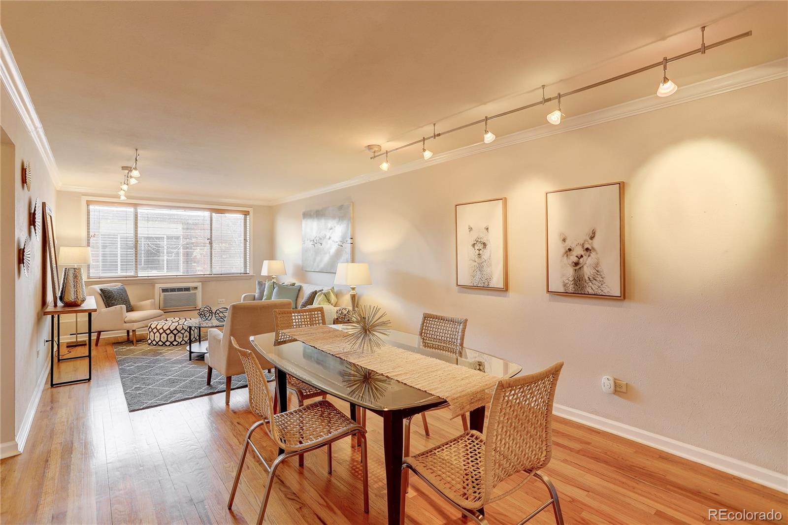 10 N Ogden Street 204