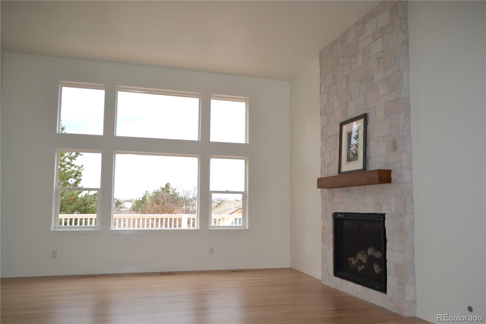9232 Bauer Court, Lone Tree, CO, 80124 4 9232 Bauer Court