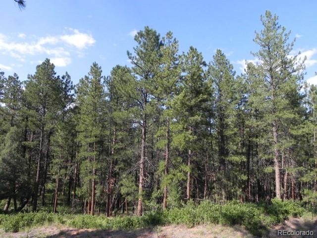 4415 Elati Road, Larkspur, CO, 80118 4415 Elati Road