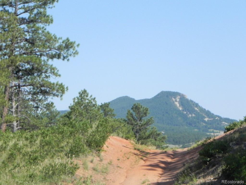 4415 Elati Road, Larkspur, CO, 80118 4415 Elati Road