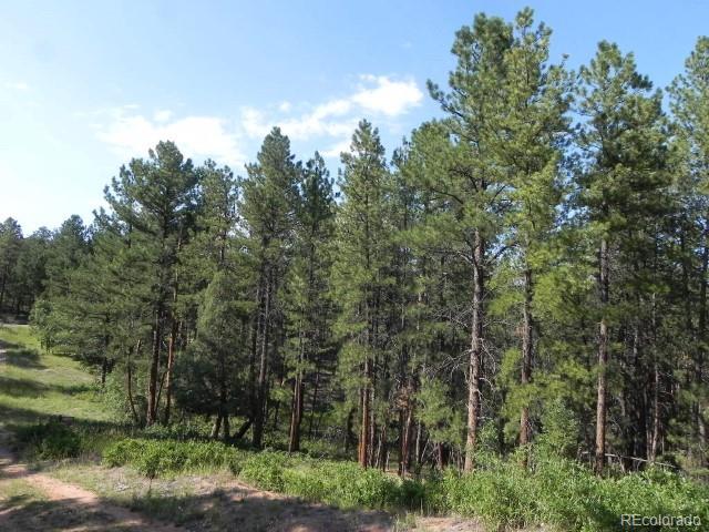4415 Elati Road, Larkspur, CO, 80118 4415 Elati Road