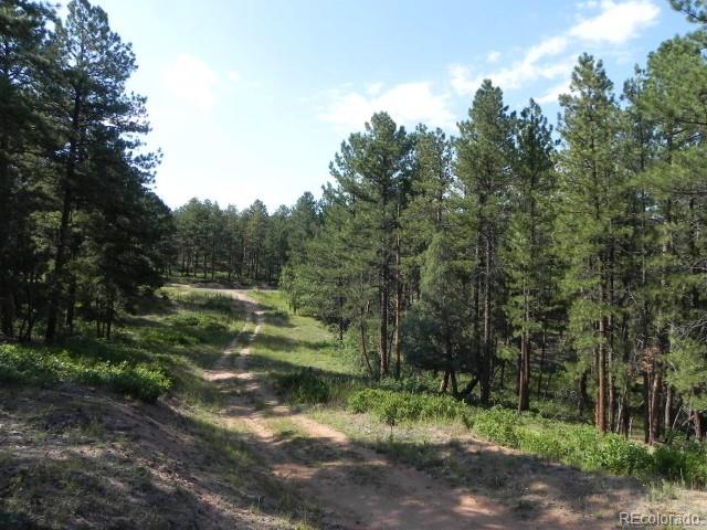 4415 Elati Road, Larkspur, CO, 80118 4415 Elati Road