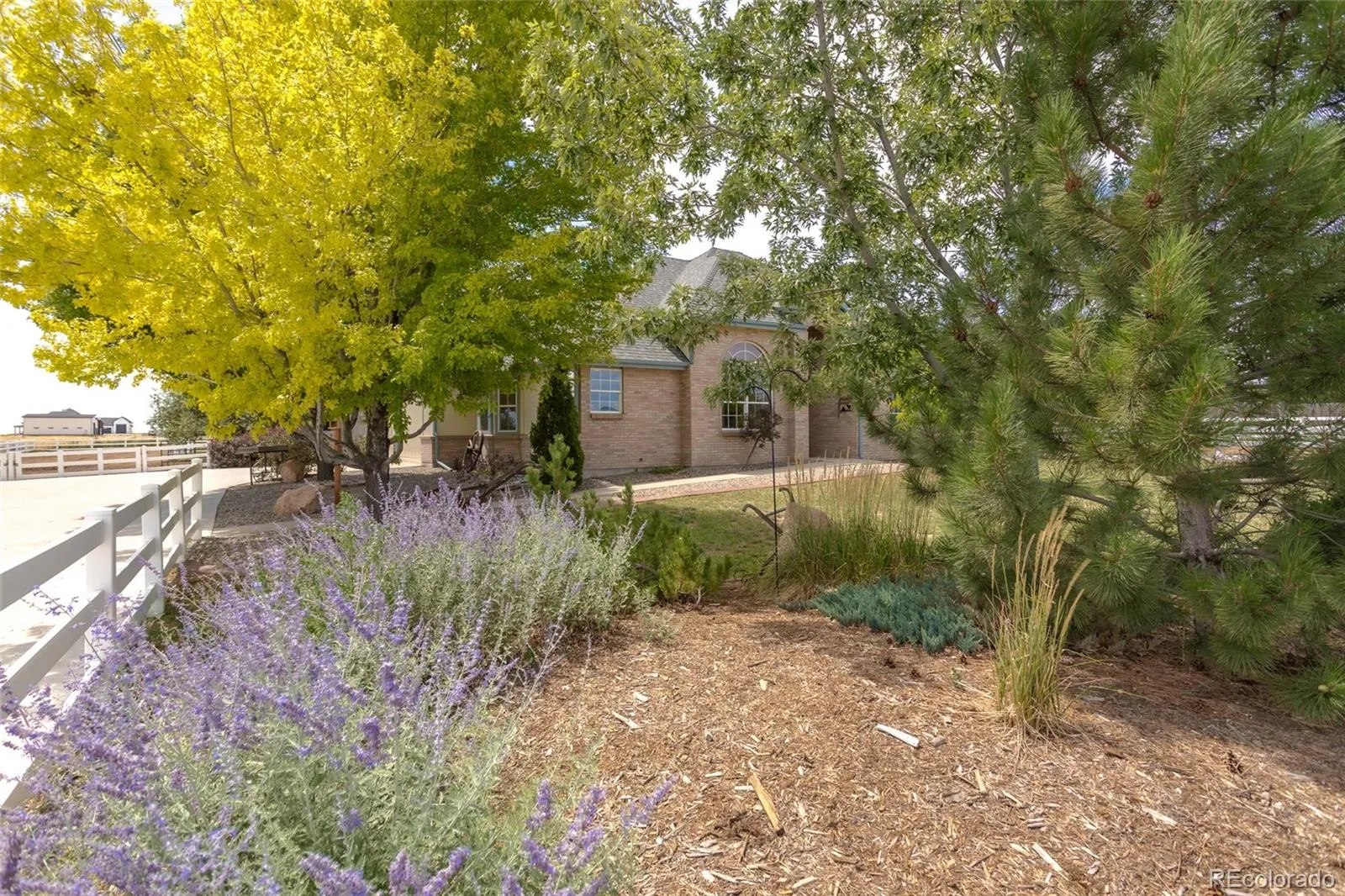 Brighton, Colorado 80603, United States, 3 Bedrooms Bedrooms, ,2 BathroomsBathrooms,Residential,Active,181573