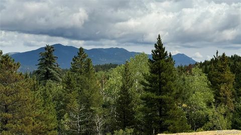 001 Pewabic Mine Road Central City CO 80427