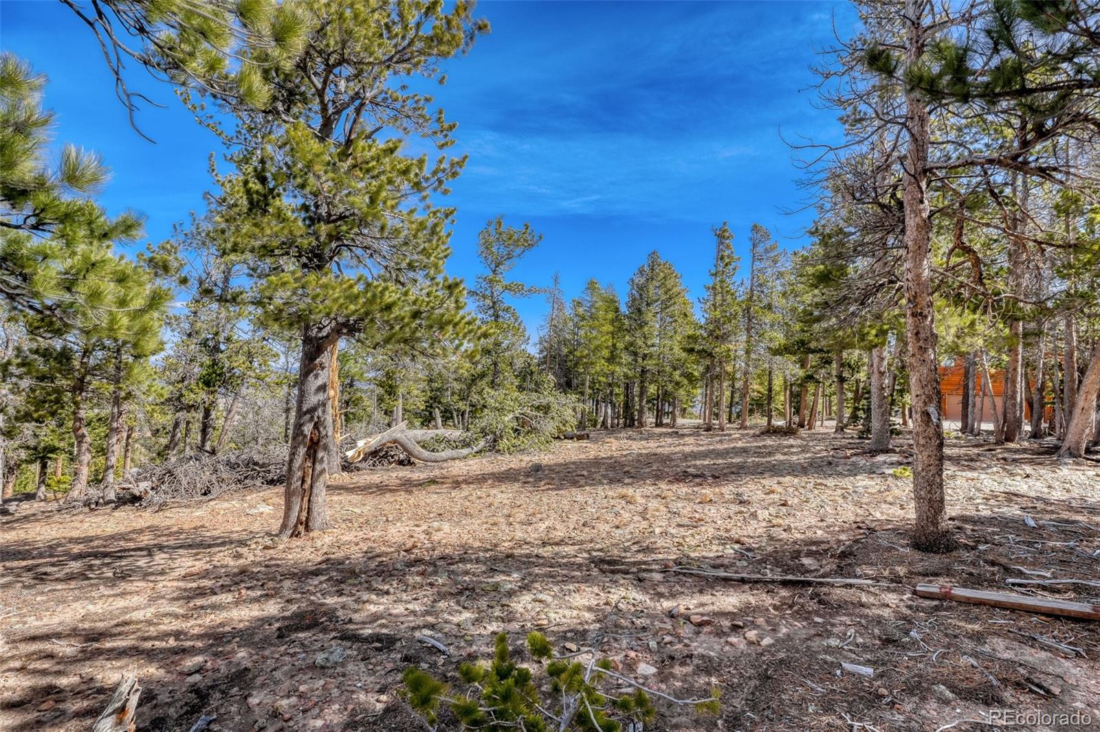 33149 Janelle Circle