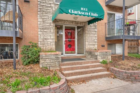 1063 N Clarkson Street 1 Denver CO 80218