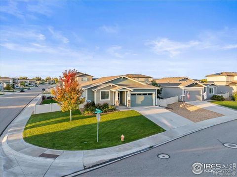 Photo of 3750 River Birch Street, Wellington, CO 80549 (MLS # IR1050309)