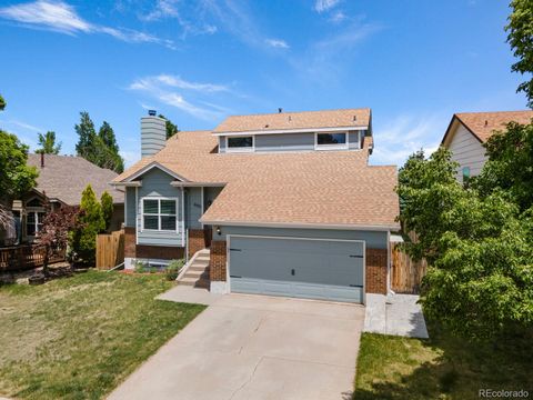 Single Family Residence in Colorado Springs CO 6255 Montarbor Drive 27.jpg