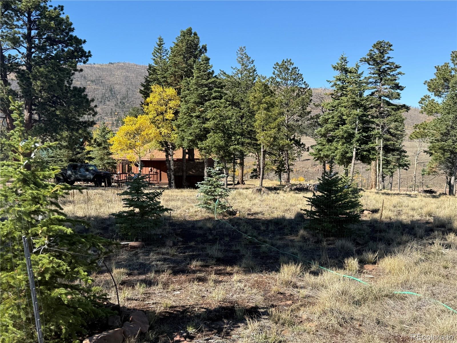 707-708 Marriott Circle, Fort Garland, CO, 81133 2 707-708 Marriott Circle