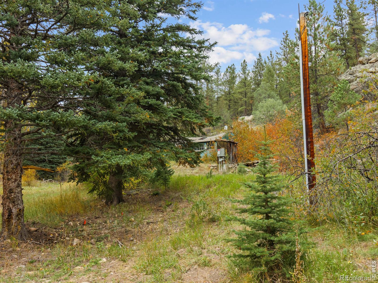 653 Fox Creek Road