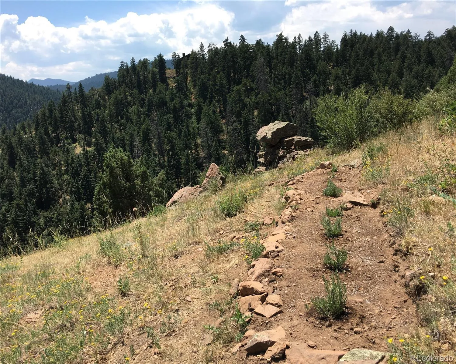 Morrison, Colorado 80465, United States, ,Land,Active,145493