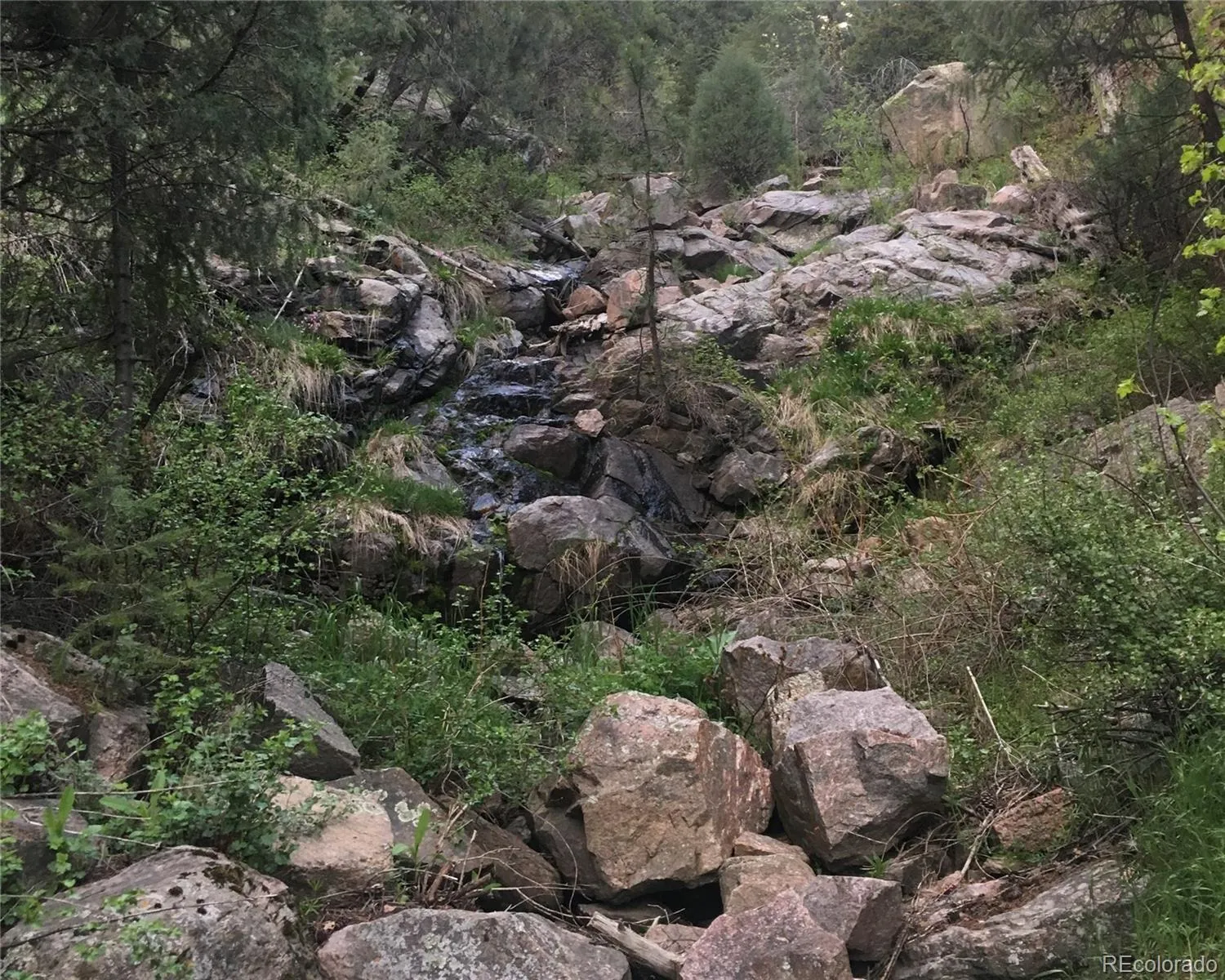 Morrison, Colorado 80465, United States, ,Land,Active,145493