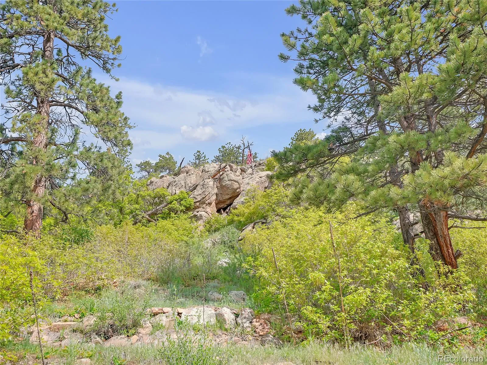 Morrison, Colorado 80465, United States, ,Land,Active,145493