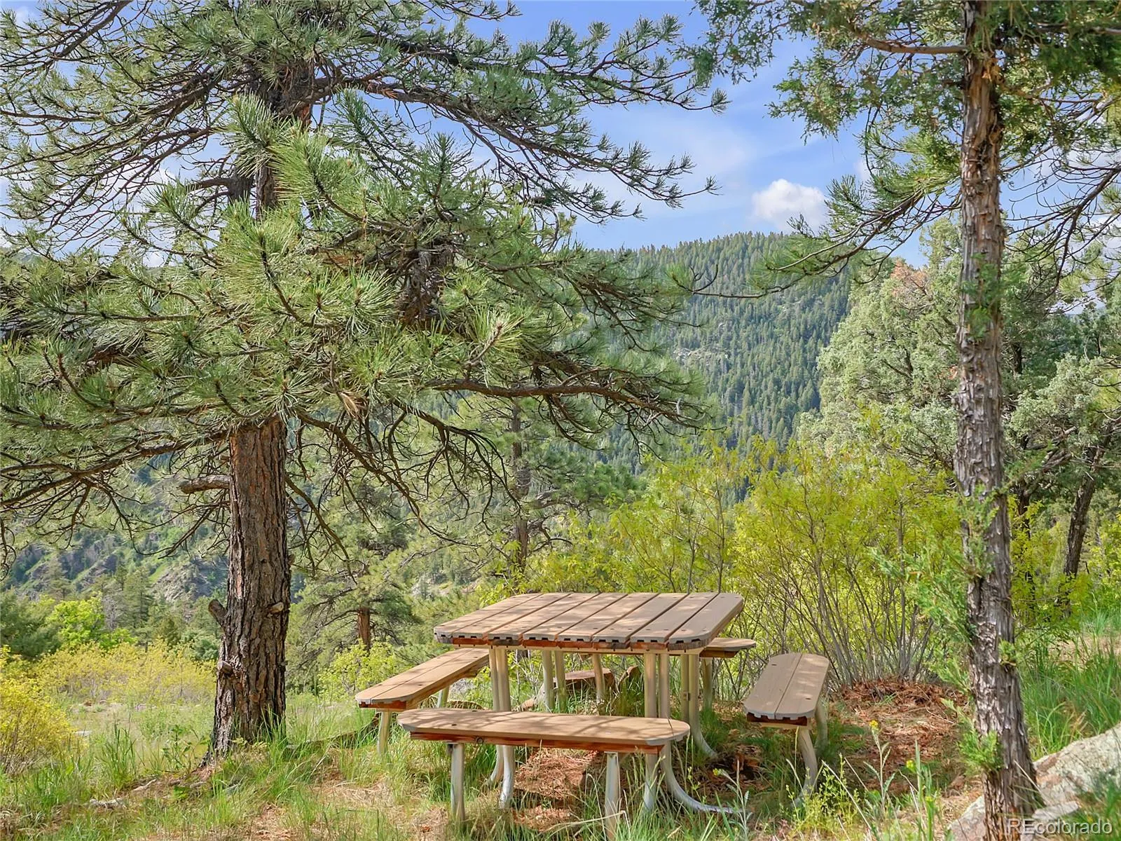 Morrison, Colorado 80465, United States, ,Land,Active,145493