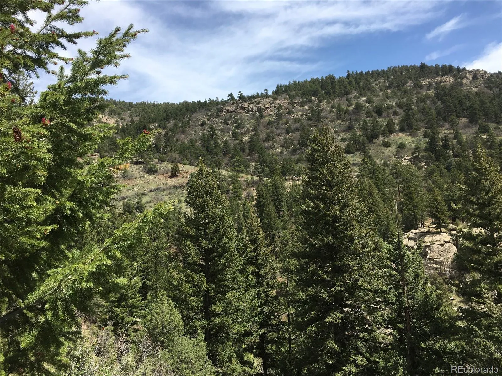 Morrison, Colorado 80465, United States, ,Land,Active,145493