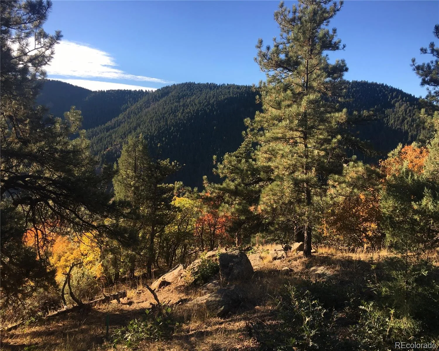 Morrison, Colorado 80465, United States, ,Land,Active,145493