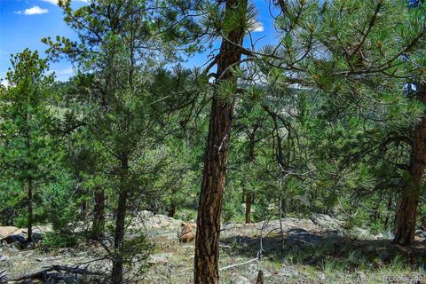 Unimproved Land in Guffey CO 468 Valley Drive 6.jpg