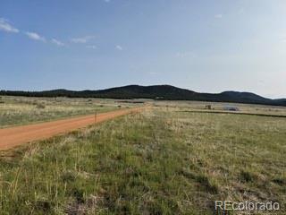 464 Burroback Court